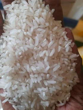 VENTE DE RIZ LOCAL VENTE DE RIZ LOCAL DE TRES BONNE QUALITE
Découvrez l’authenticité culinaire avec notre riz local " CEEBU WALO", cultivé avec soin pour une saveur inégalée.
Disponible par sac de 25 kg
Faites le choix du riz qui a du goût, qui soutient la communauté locale et qui respecte la planète. 
Commandez dès maintenant
