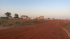 Champ de 3 hectares et demi à vendre à Mbodiène Sénégal