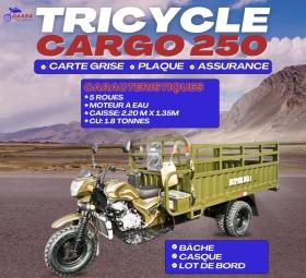 Moto tricycle 250