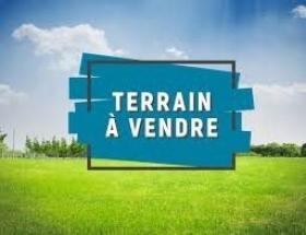 TERRAIN A VENDRE A GOLF 