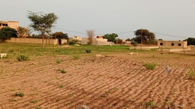 Terrain de 600 mètres carrés à vendre à Nguérigne Sénégal Terrain de 600 mètres carrés à vendre à Nguérigne Sythiane
Type de papier: délibération
Eau et électricité disponibles
Accès facile
Zone calme
Bon pour projet à usage d’habitation ou d’investissement immobilier
Prix: 16 000 000 de francs CFA soit 24 427 euros
