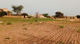 Terrain de 600 mètres carrés à vendre à Nguérigne Sénégal