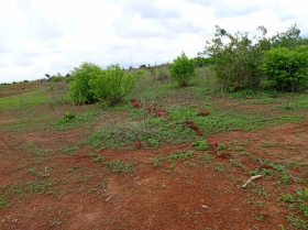 Terrain de 1,16 hectare vers Notto Diobass DOSSIER : @senhectare TN-5-824-K
SUPERFICIE:
1 hectare 16 are 32 ca
EMPLACEMENT:
À 900 mètres de la route Thiès -Tassette.
Dans la Commune de : Notto Diobass.
Distant de la ville de Dakar: 01 Heure 40 Minutes ( 88 Km )
Distant de la ville de Thiès: 44 Minutes ( 25 Km )
Profondeur des Puits estimée dans la zone : 25 mètres.
Profondeur des Forages estimée dans la zone : 120 mètres.
TERRAIN:
Parfaitement adapté à toutes les activités agropastorales…
ACCÈS:
Relativement simple
TYPE DE SOL: 
Dek Dior
DISPONIBILITÉ:
Immédiate
Frais de visite: 15 000 F CFA