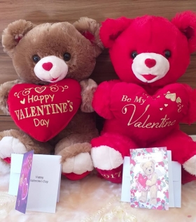 Nounours happy Valentine day Montrez votre attachement et vos sentiments à votre douce moitiè grace  à ces dorables et douces peluches ours teddy pour vos cadeaux de saint-valentin et pour dire je t