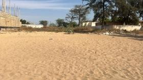 Terrains de 550 mètres carrés à vendre à Nianing Sénégal Lot de 2 terrains de 550 mètres jumelés à vendre à Nianing plage
Pied dans l’eau
Quartier résidentiel
Type de Papier: bail   
Eau et électricité disponibles
En face de la mer
Zone calme
Accès facile
 Bon pour projet à usage d’habitation ou d’investissement immobilier
Prix: 100.000.000 de francs CFA soit 152.672 euros / parcelle
