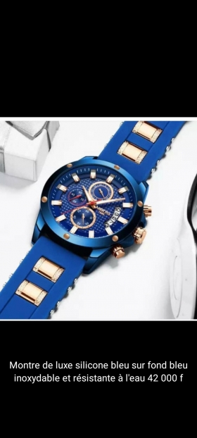 Montre de luxe Nibosi bleue La montre ci-dessous est la Nibosi bleue en acier et silicone inoxydable et résistante à l