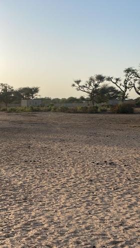 Terrains 225 mètres carrés à Malicounda  Terrains 225 mètres carrés à Malicounda
Sise à Malicounda Ngogom 
Zone calme avec un très bon sol 
Eau et électricité à 1 kilomètre 
Péage à 15 minutes en voiture
Dakar à 45 minutes
Bon pour projets immobiliers

