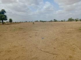 Terrain de 1,87 hectare vers Touba Toul