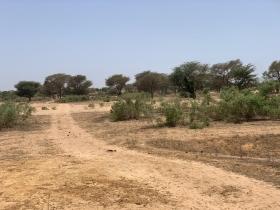 Terrain de 7842 m² vers Notto Diobass