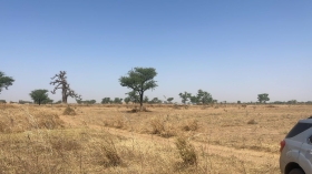 Terrain de 300 mètres carrés à vendre à Malicounda Sénégal Lot de terrains de 300 mètres carrés à vendre à Malicounda Takhoum Extension
Type de Papier: délibération
À 20 minutes de la sortie du péage
Zone calme
Accès facile
Très bon sol
Aéroport AIBD à 35 minutes
À 45 minutes de Dakar
Bon pour projet à usage d’habitation ou d’investissement immobilier
Prix: 2.000.000 de francs CFA soit 3.053 Euros par parcelle
