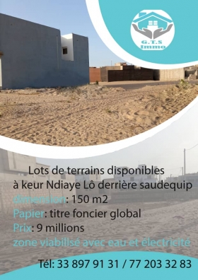 Terrains à vendre Terrains à vendre : 150 m2, TF global, viabilisé (eau et électricité disponibles). Keur Ndiaye lo derrière Saudequip
 
