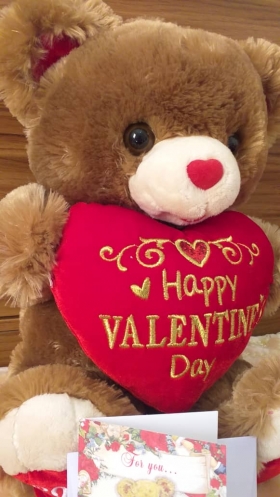 Nounours happy Valentine day Montrez votre attachement et vos sentiments à votre douce moitiè grace  à ces dorables et douces peluches ours teddy pour vos cadeaux de saint-valentin et pour dire je t
