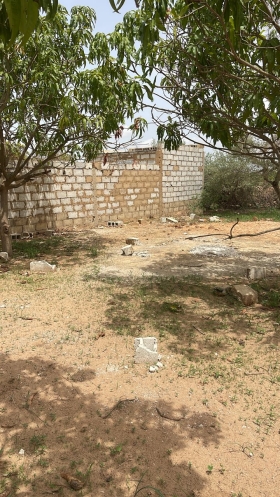 Terrain de 225 mètres carrés à vendre à Malicounda Sénégal