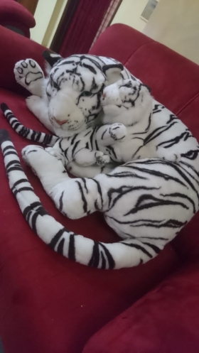 Tigre Blanc Géant(Maman et Bébé)
