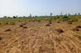 Terrain de 2,88 hectares vers Khombole