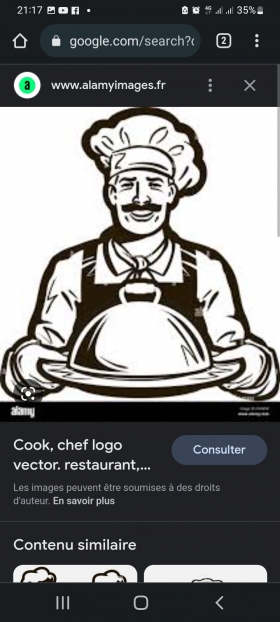 Cuisinier professionnel 