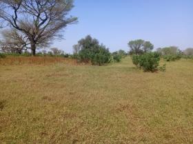 Terrain de 4 hectares vers Thienaba