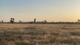 Champ de 1 hectare et demi à vendre à Gudji Sénégal 
Un champ de 1 hectare et demi à vendre à Gudji vers Mbodiène dans la commune de Nguérigne 
Le champ est entièrement clôturé en triages 
Il est composé d’un bâtiment de deux pièces et Salle de bains 
3 puits
Type de papier : délibération 
Zone calme 
Accès facile 
Pour projet à usage d’habitation ou d’investissement immobilier 
Prix: 21.000.000 de francs CFA soit 32.061 euros 
