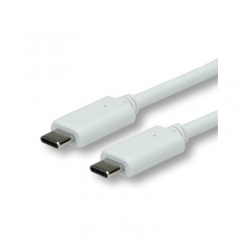Adaptateur/câble de chargement USB Type-C vers USB Type-C 3.1