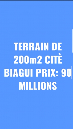 TERRAINS A VENDRE TERRAIN DE 200m2 A LA CITE BIAGUI