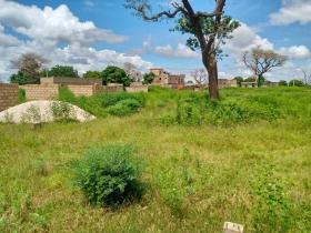 Terrain de 225 mètres carrés à vendre à Saly Sénégal 
Terrain de 225 mètres carrés à vendre à Saly
Au niveau de Keur Youngar
Type de papier: délibération
Zone calme
Accès facile
Eau et électricité disponibles
Aéroport AIBD à 30 minutes
Dakar à 45 minutes en voiture
Bon pour projet à usage d’habitation ou d’investissement immobilier
Prix: 8.000.000 de francs CFA soit 12 214 euros
