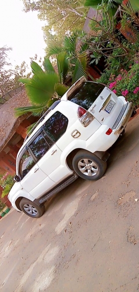 Toyota Prado GX 2009