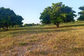 Terrain de 47,35 hectares vers Tassette