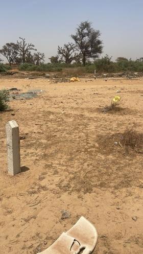 Terrain de 300 mètres carrés à vendre à Malicounda Sénégal