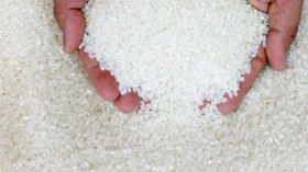 VENTE DE RIZ DE LA VALLEE VENTE DE RIZ DE LA VALLÉE

Découvrez l’authenticité culinaire avec notre riz de la  vallée, cultivé avec soin pour une saveur inégalée.
Offre à vos repas une touche de qualité exceptionnelle.
Essayez votre riz de la vallée et laissez la perfection s’inviter à votre table.
Nous avons en stock le petit grain et le long grain.
Commande minimale: 1 tonne 

Tél: +221 76 880 45 95
Email:besttrading.sn@gmail.com
