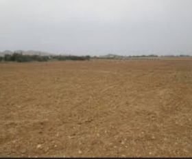Terrain à Vendre  Nous mettons en vente un lot de 380 terrains déjà viabilisé situé à Diamniadio Sud 
Titre Foncier Individuel

