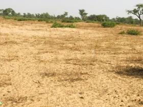 Verger de 1,36 hectare à Touba Toul