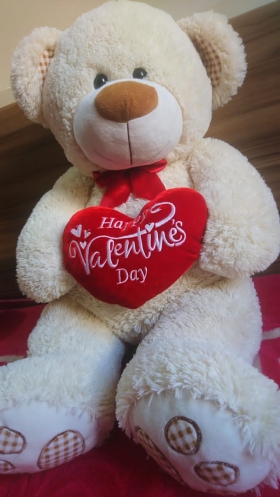 Teddy Happy Valentine's day 