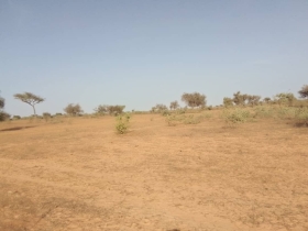 Terrain de 3 hectares vers Thiénaba