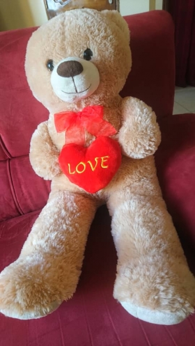 Peluche Ours Teddy Love