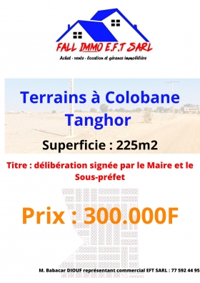Terrains COLOBANE Tanghor, Thiès  EFT SARL continue sa lancée de mettre à votre disposition des terrains sûrs et fiables dans la région de Thiès, vers la zone des Niayes. Que vous soyez au Sénégal ou dans la diaspora, nous vous accompagnons dans toute la procédure d’acquisition. 
Site : COLOBANE Tanghor 
Superficie : 225m2
Titre : délibération avec double signature du maire et du sous-préfet 
Prix : 300.000F
Tel : (+221) 775924495
