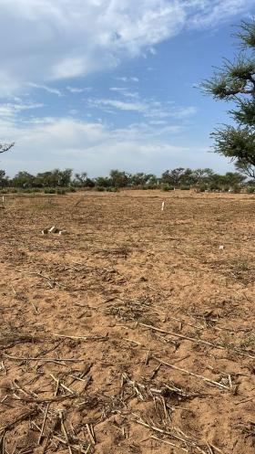 Terrains de 300 mètres carrés à vendre à Malicounda Sénégal Lot de terrains de 300 mètres carrés à vendre à Malicounda Keur Malick Bâ
Type de papier : délibération
Zone calme
Accès facile
Aéroport AIBD à 30 minutes
Dakar à 45 minutes en voiture
Bon pour projet à usage d’habitation ou d’investissement immobilier
Prix: 2.000.000 de francs CFA soit 3.053 euros par parcelle
