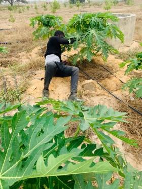 Location d’une Exploitation Agricole de 10 hectares vers Tassette