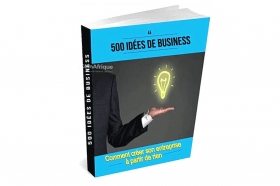 Document pdf de 500 idées de business que vous pouvez commencer ici au Sénégal