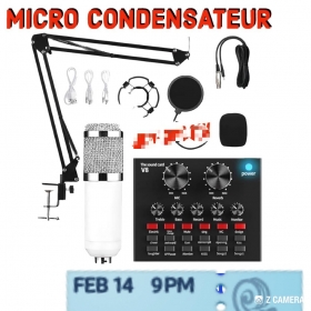 Micro condensateur et carte son  Micro condensateur et carte son disponible le kit complet neuf