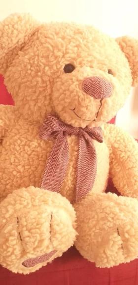 Nounours Teddy L