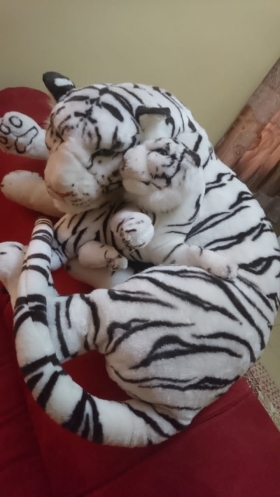 Tigre Blanc Géant(Maman et Bébé) Waouh!Voici Deux Magnifiques Tigres en Peluche(Maman et Bébé)de Couleurs blanches avec leurs rayures noires et Marron,leurs yeux bleus,leurs immenses pattes et leurs longues queues.Ces deux tigres sont d