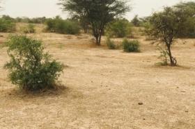 Terrain de 9,25 hectares vers Keur Samba Kane