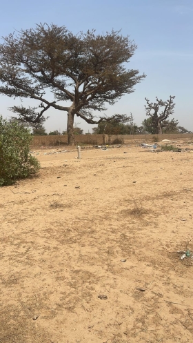 Terrain de 300 mètres carrés à vendre à Malicounda Sénégal