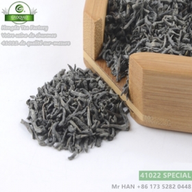 Usine de thé vert de Chine chunmee 41022