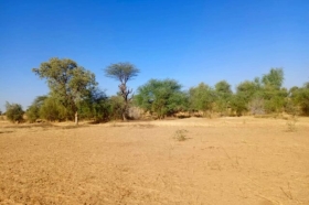 Terrain de 1,71 hectare vers Mbadiane DOSSIER : @senhectare TN-1-125-M
SUPERFICIE:
1 hectare 71 are 04 ca
EMPLACEMENT:
À 300 mètres de l’axe Touba – Mbadiane
Dans la Commune de : Mbadiane
Distant de la ville de Louga : 37 Minutes ( 38,2 Km )
Distant de la ville de Thiès : 01 Heure 50 Minutes ( 86,3 Km )
Profondeur des Puits estimée dans la zone : 80 mètres.
Profondeur des Forages estimée dans la zone : 160 mètres.
TERRAIN:
Parfaitement adapté à toutes activités agropastorales…
ACCÈS:
Relativement simple
TYPE DE SOL: 
Dior
DISPONIBILITÉ:
Immédiate
Frais de Visite 20 000 F CFA