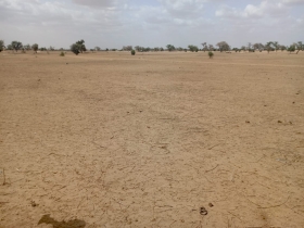 Terrain de 1,87 hectare vers Touba Toul Dossier : @senhectare  TNU-029-0724- AC
SUPERFICIE:
1 hectare 87 are 50 ca
EMPLACEMENT:
À 1,6 km de la Piste latéritique Touba Toul-Tivaouane.
Dans la Commune de : Touba Toul
Distant de la ville de Dakar: 01 Heure 27 Minutes (88 Km)
Distant de la ville de Thiès: 58 Minutes (34 Km)
Profondeur des Puits estimée dans la zone : 30 mètres.
Profondeur des Forages estimée dans la zone : 120 mètres.
TERRAIN:
Parfaitement adapté à la culture de céréales et
légumes et aux activités agropastorales.
ACCÈS:
Facile
TYPE DE SOL: 
Dior
DISPONIBILITÉ:
Immédiate
Frais de visite: 15.000 F CFA