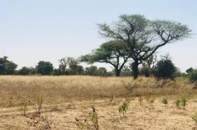 Terrain de 22 hectares vers Thiénaba