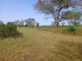 Terrain de 4 hectares vers Thienaba