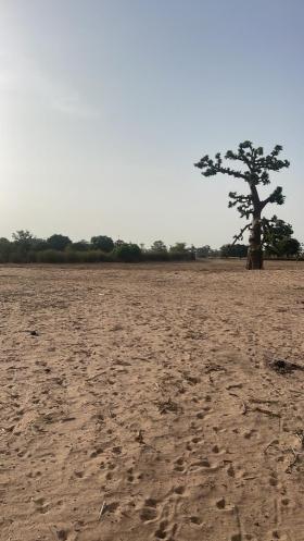 Terrain de 8000 mètres carrés à Malicounda Terrain 8000 mètres carrés à Malicounda
Sise à Takhoum Ndioudiouf
Eau et électricité à 300 mètres
Zone très calme et dégagé
Très bon sol 
Adéquat à tout type d