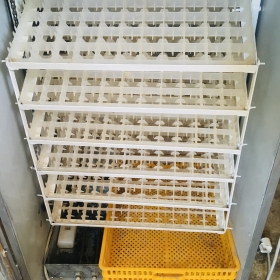 Couveuses automatiques  Des couveuses automatiques sont disponibles à bon prix . Capacités 528 œufs, 1056 œufs , 2112 œufs, 5000 œufs 